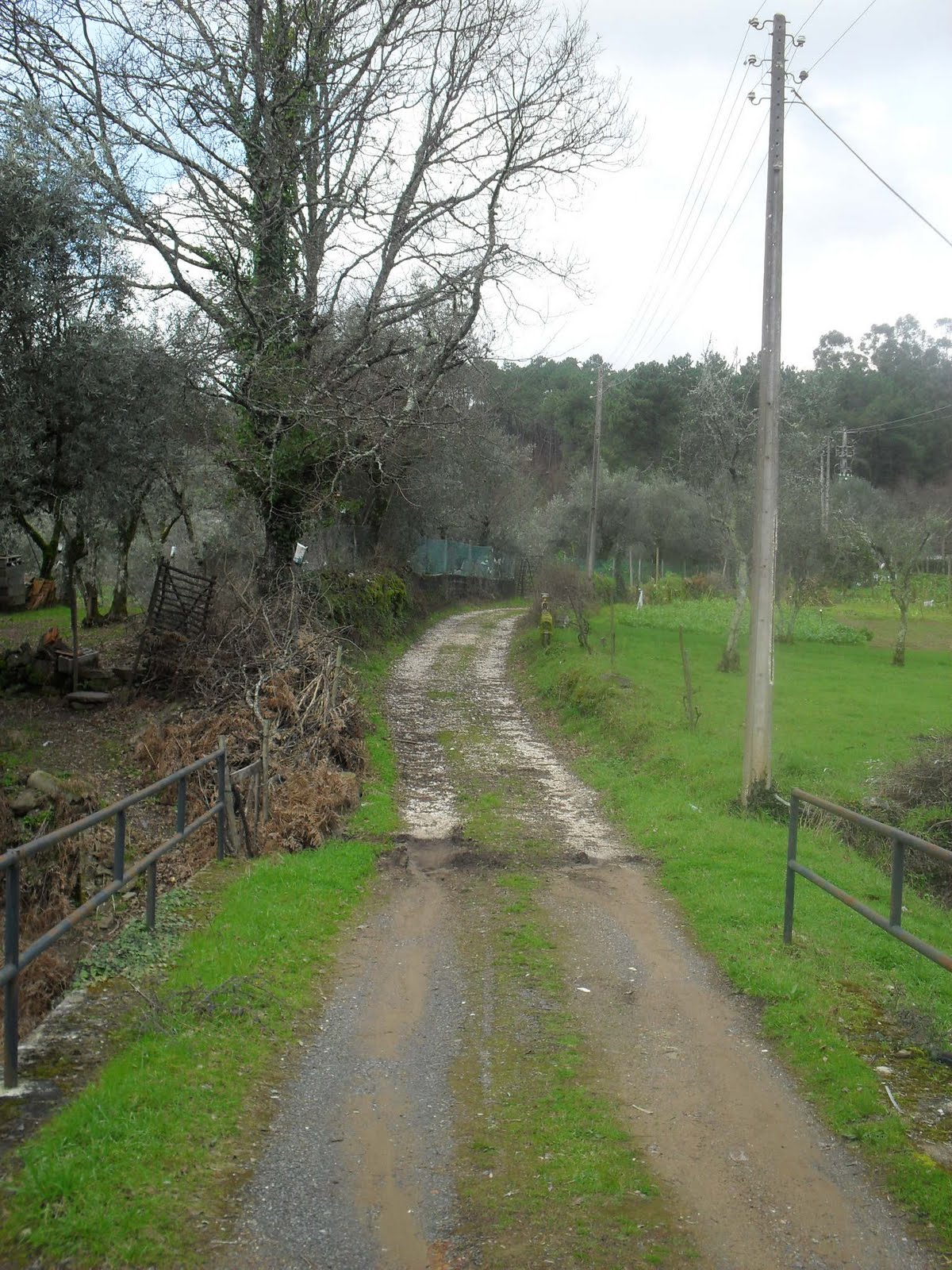 [SDC10737.JPG]