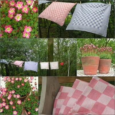 [collage+roze+tuin+15+april+6.jpg]