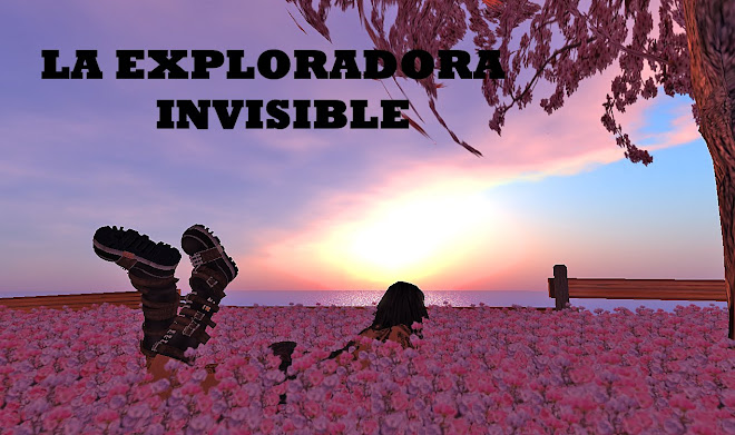 LA EXPLORADORA  INVISIBLE