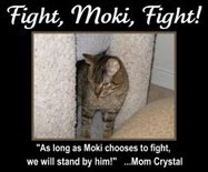 MOKI