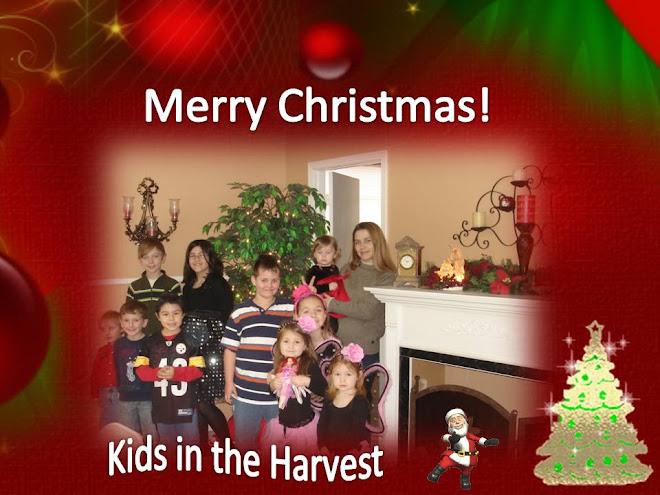 Kids In The Harvest