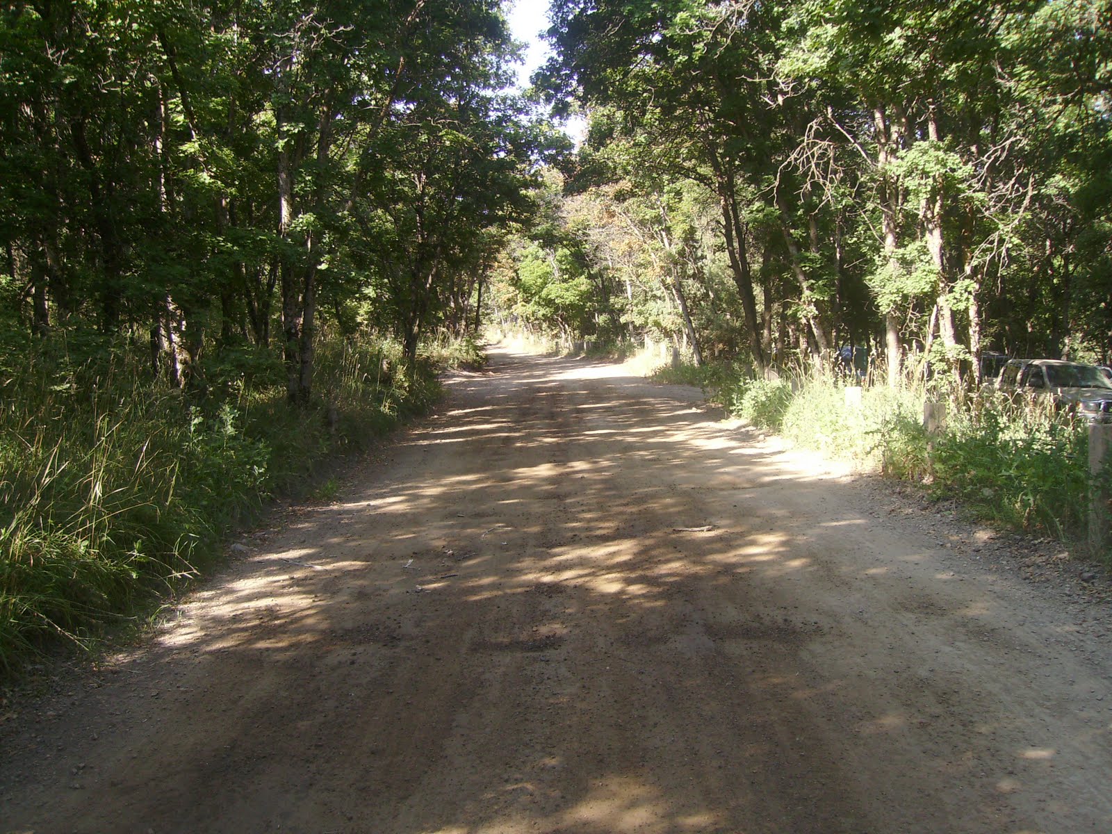 [july2009+131.JPG]