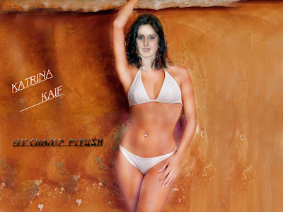 Kaif lost modelling contract for being 'fat' Katrina+kaif+billywood+desktop+wallpaper+001+1024x768