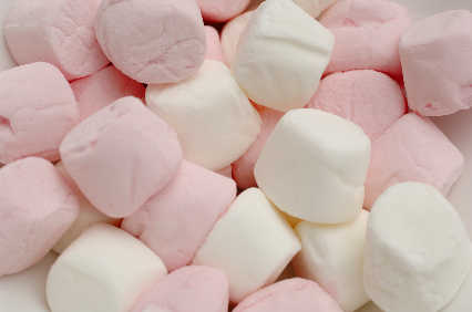 [marshmallow.jpg]