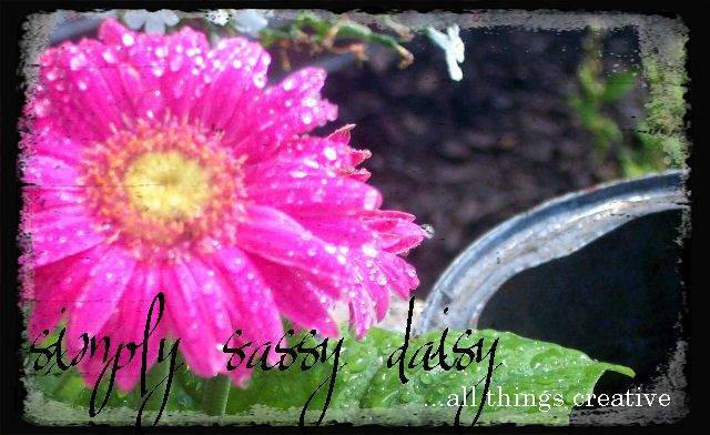 simply sassy daisy