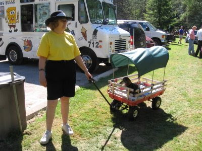 a tour of Wienerfest.