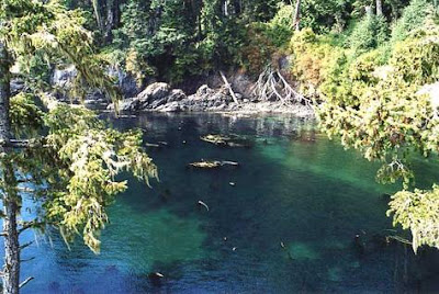 Craigslit Vancouver Island Craigslit Vancouver Island
