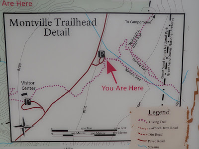 Mario birthday cake walmart