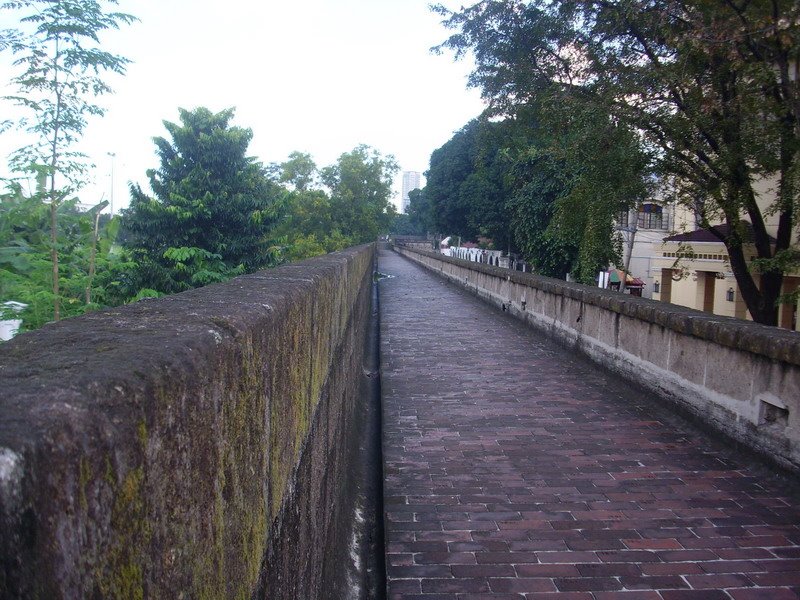 [IMG_0014_resize.JPG]