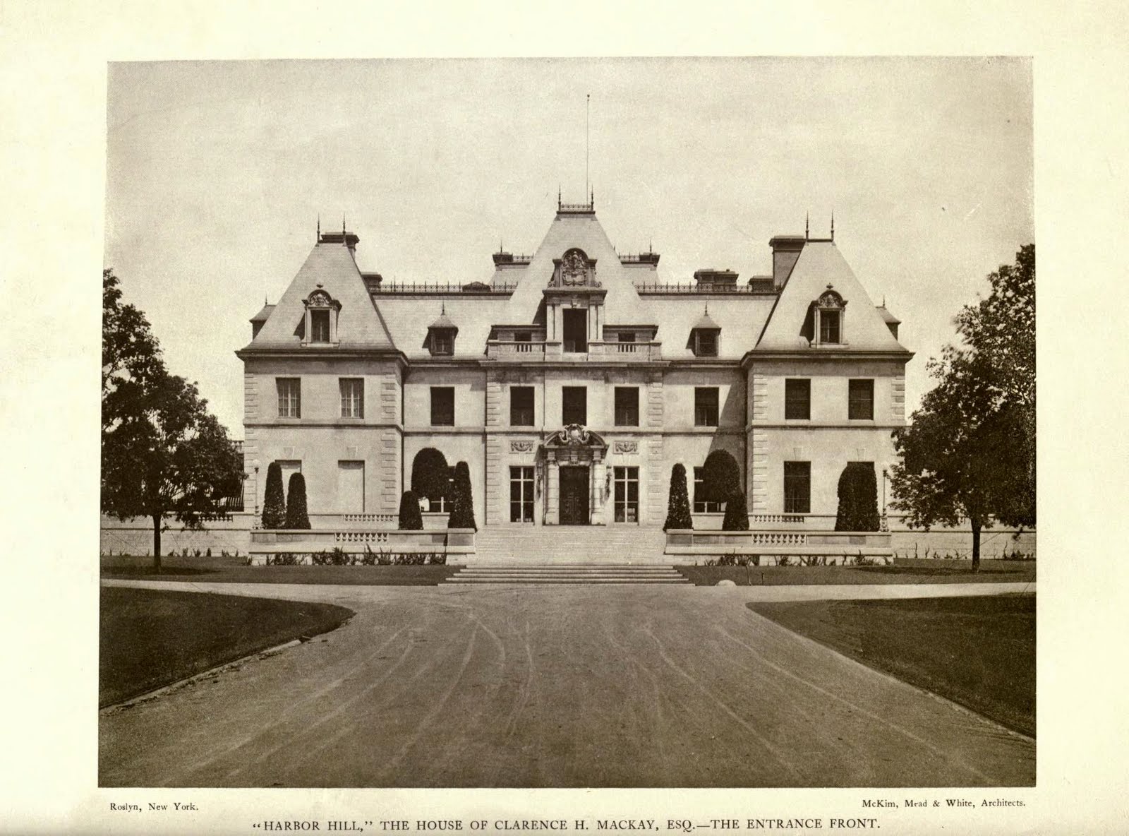 Old Long Island 'Harbor Hill'