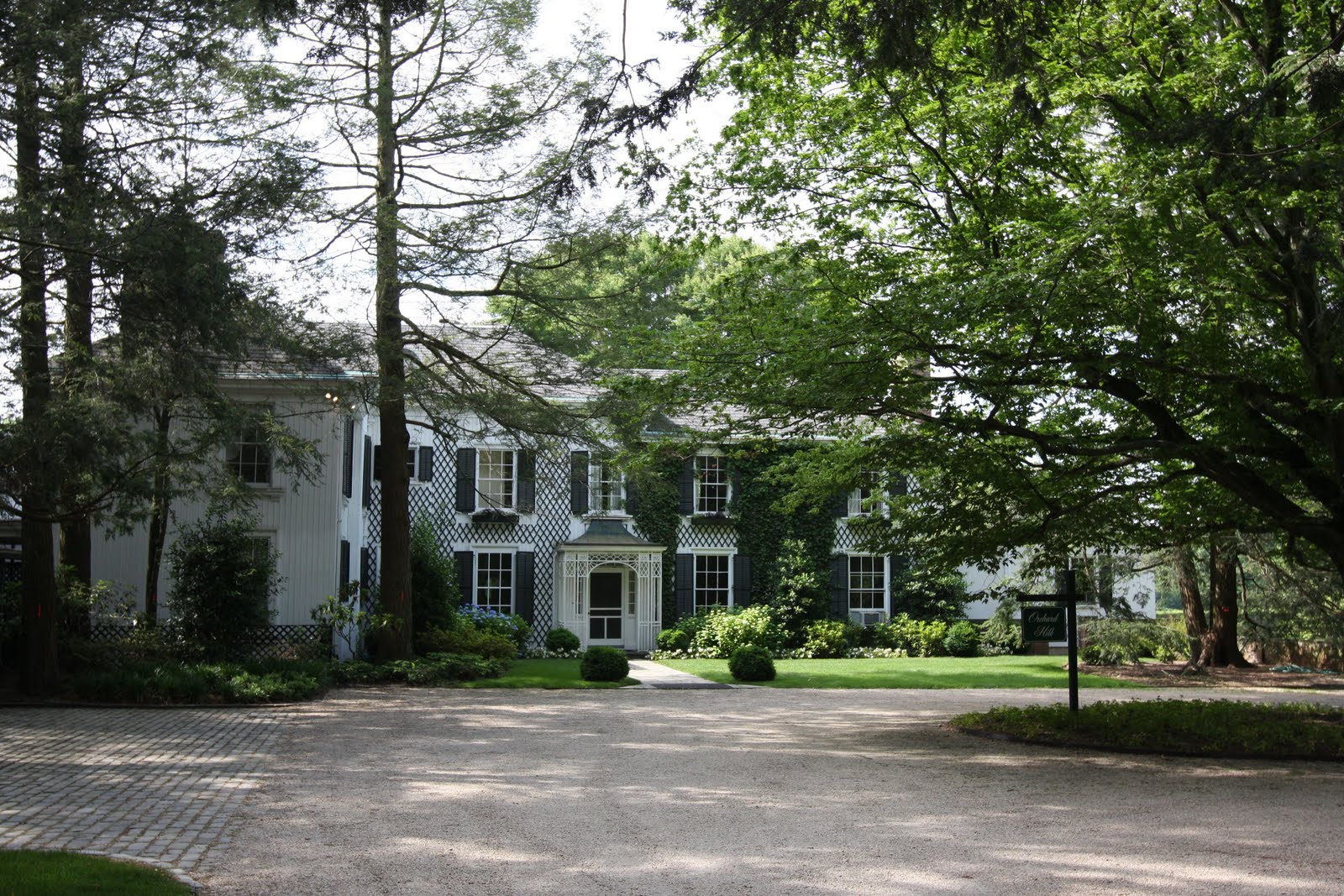 Old Long Island 'Orchard Hill'