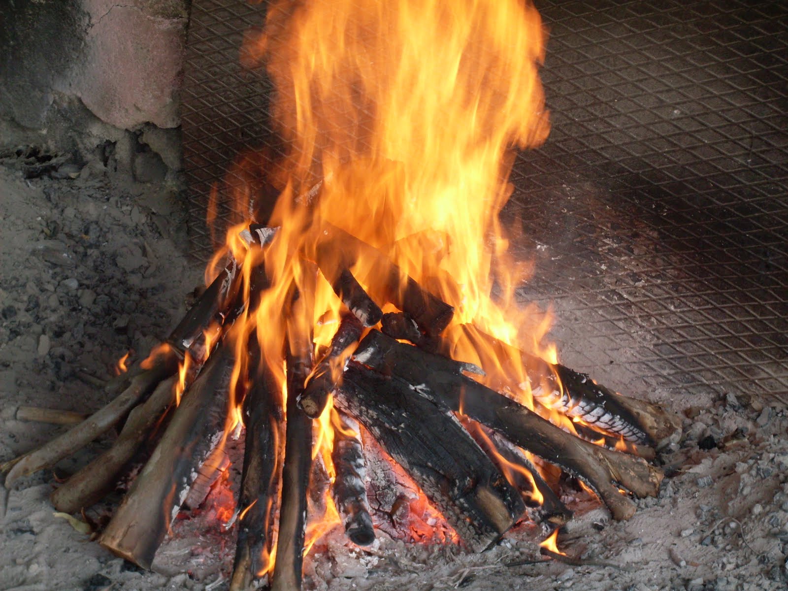 ASADO EN EL BALNEARIO