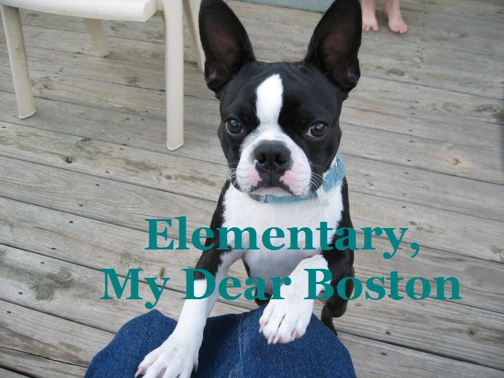 Elementary, My Dear Boston