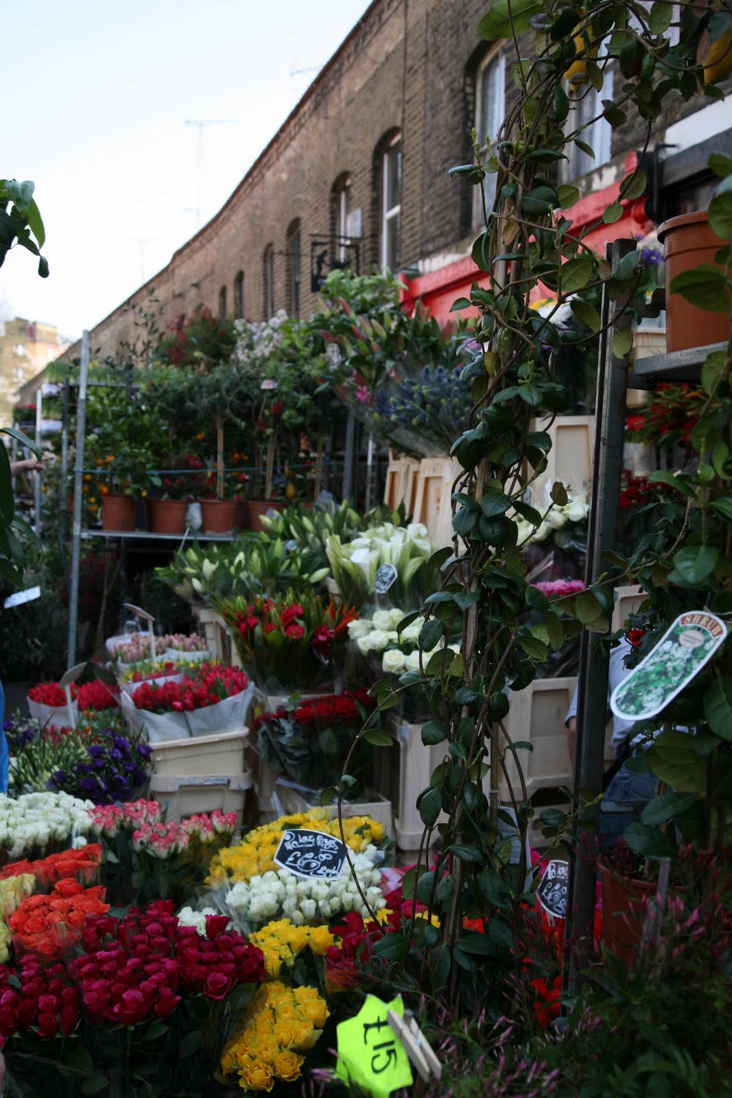 Flower Shop Stories From Columbia Road to Chiltern Street