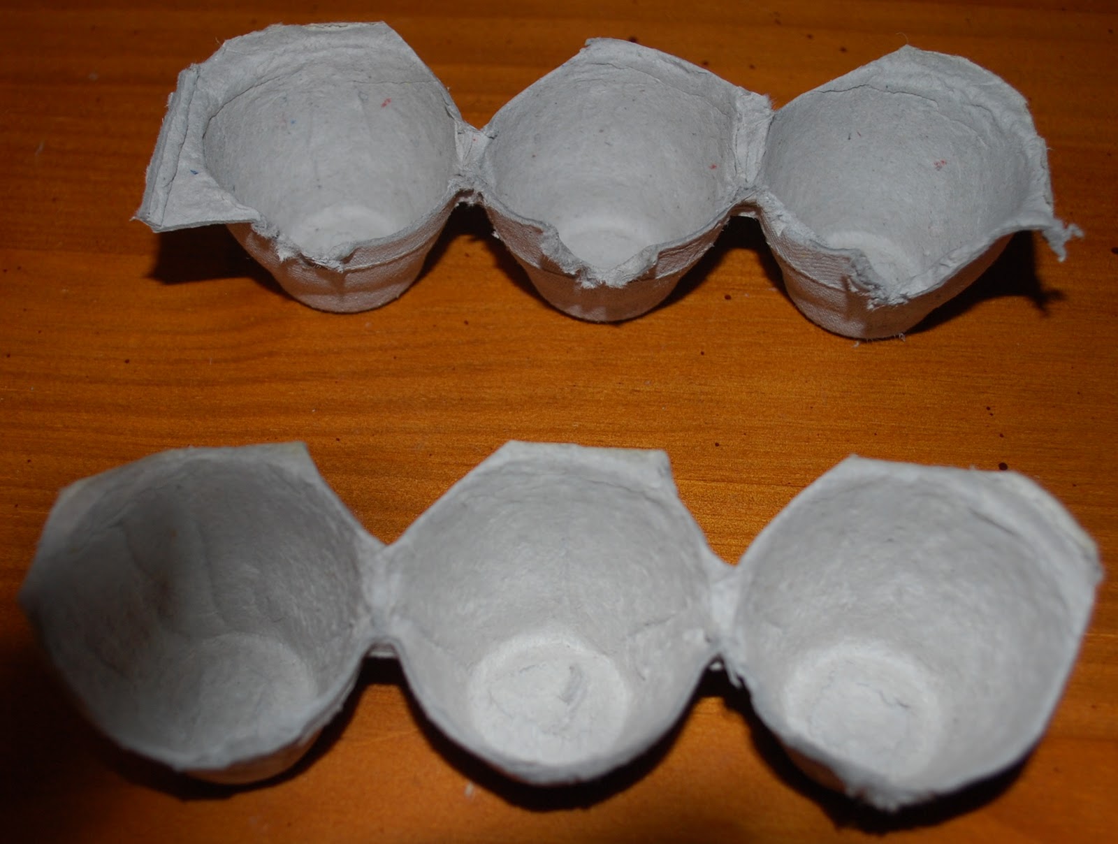 Zerila's Life Blogging Day 118 DIY Egg Carton Ring Organizer