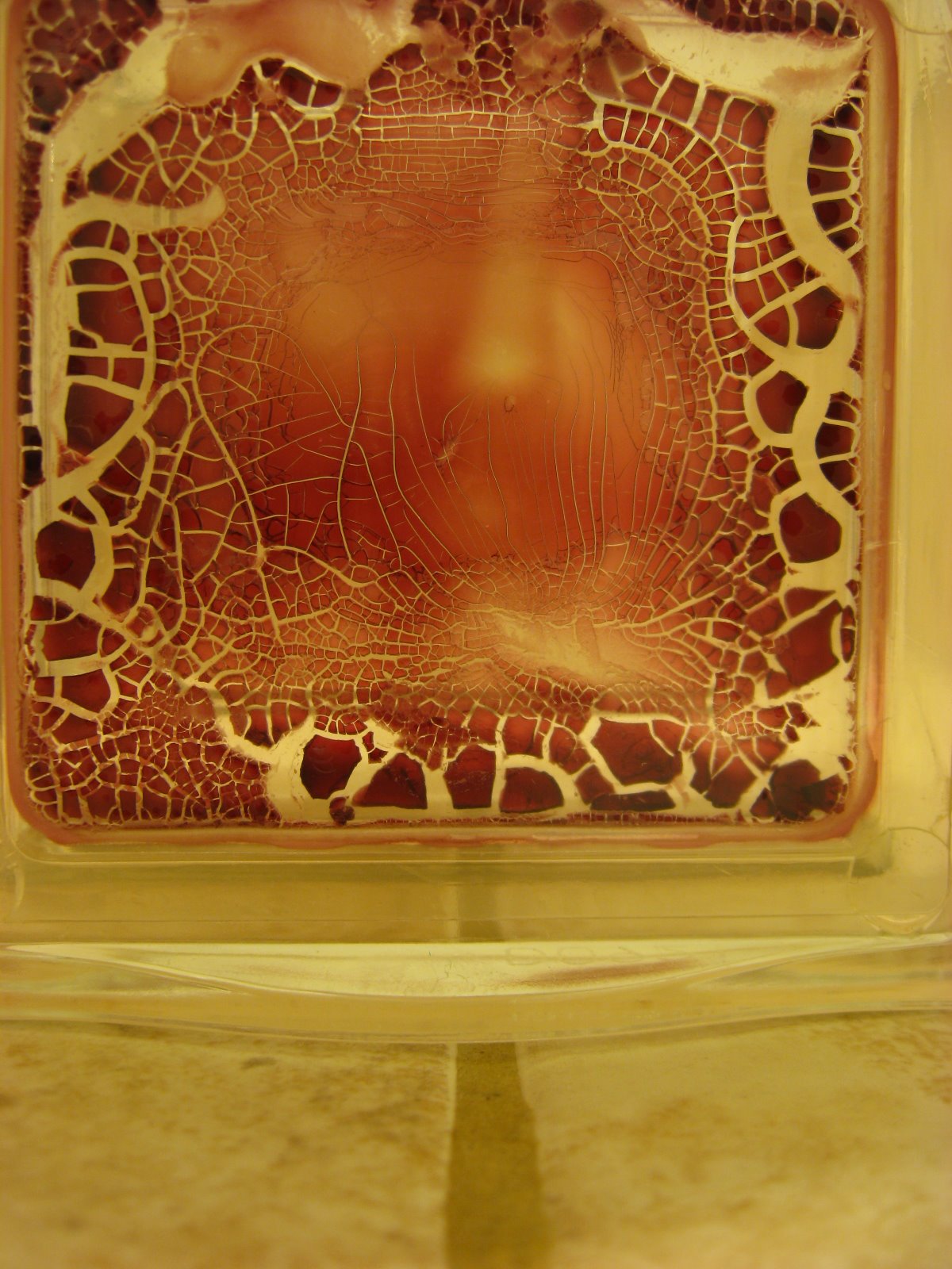 [OCTOBER+2008+204.JPG]