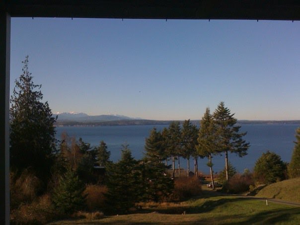 [view+from+cabin.bmp]
