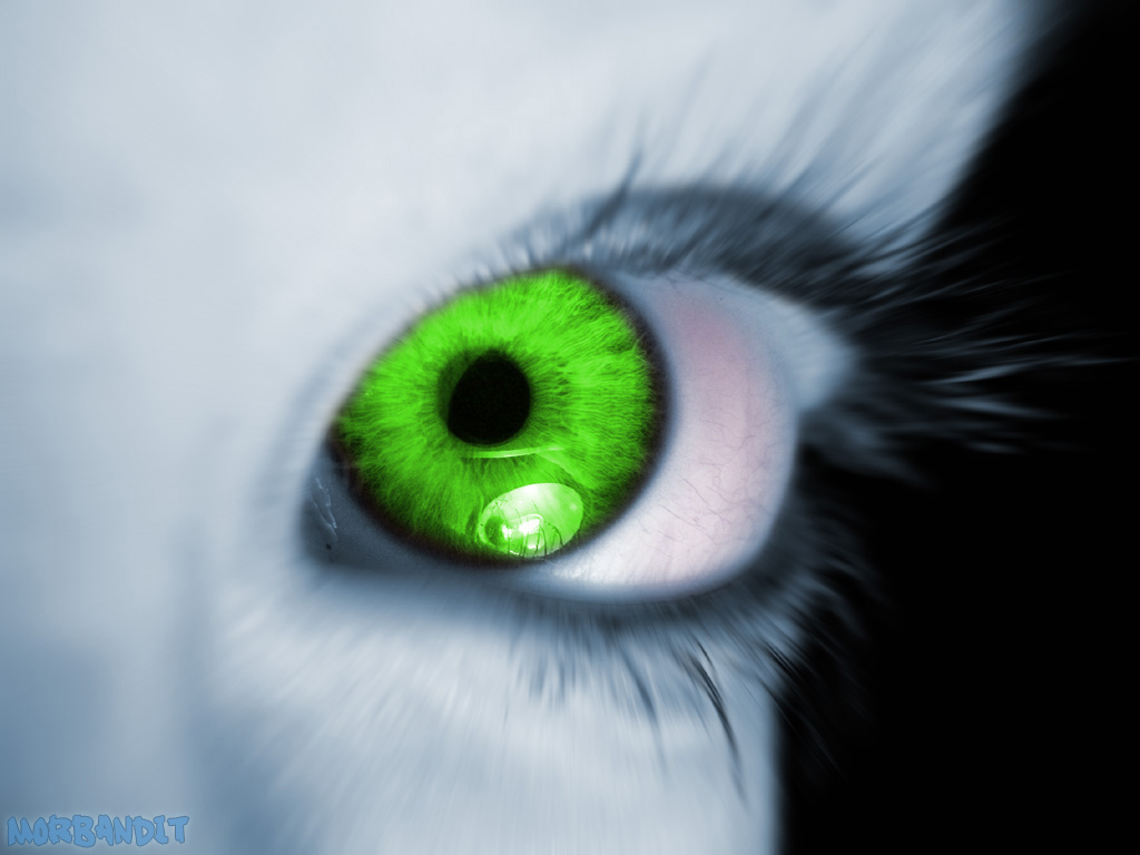[GreenEyev2.jpg]
