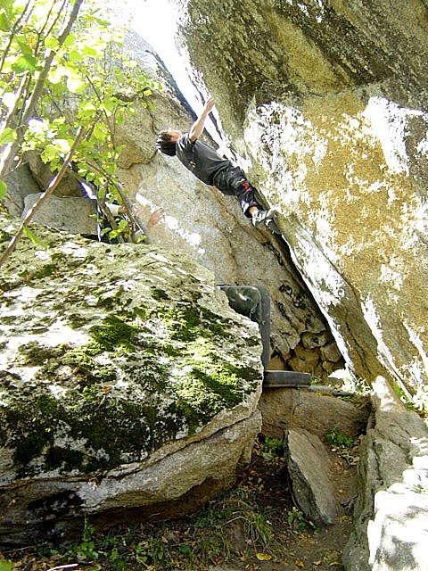 [botum7b.JPG]