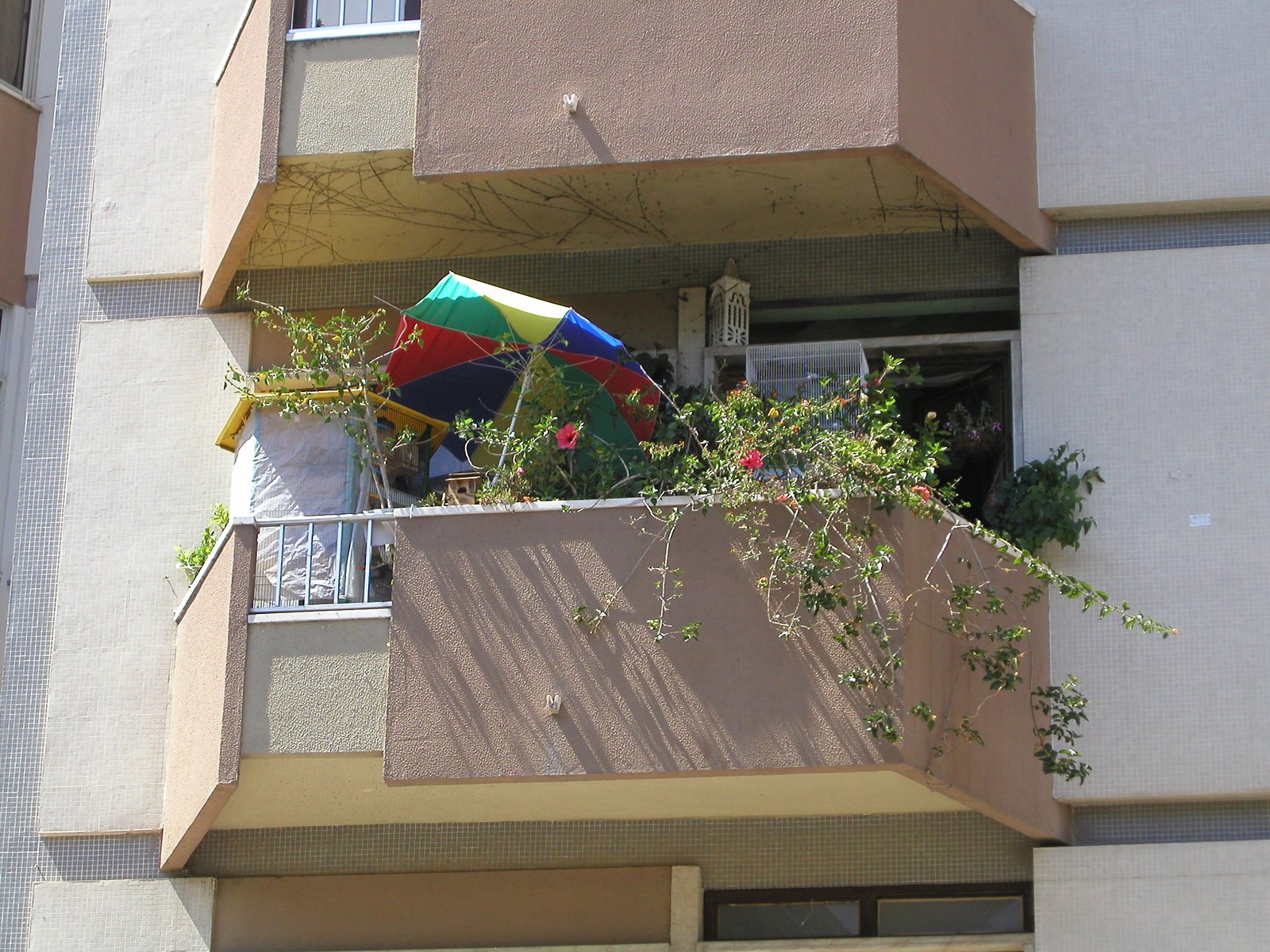 [P8120013.JPG]