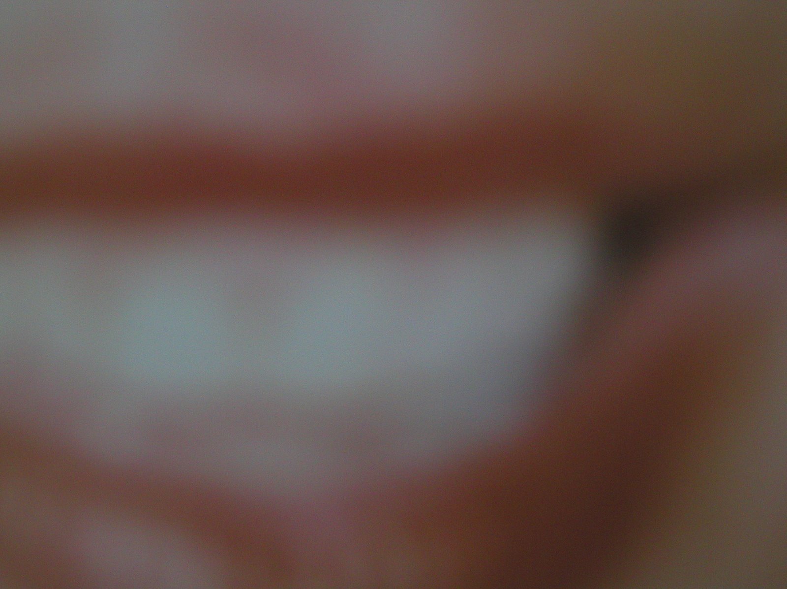 [P9010029.JPG]