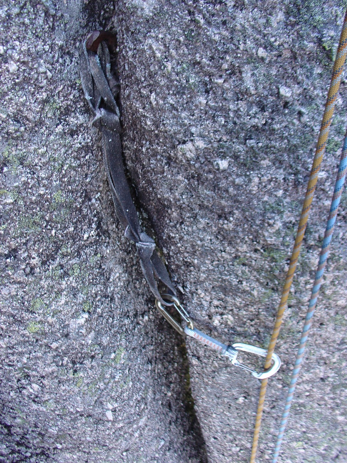[DSC01695.JPG]
