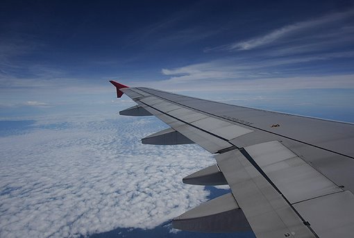 [IMG_2173+copy.JPG]