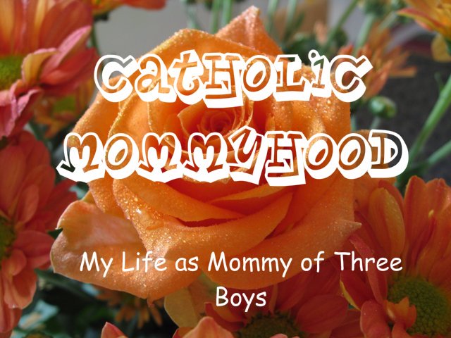 Catholic Mommyhood
