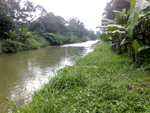 kampung Dusun Tua Area