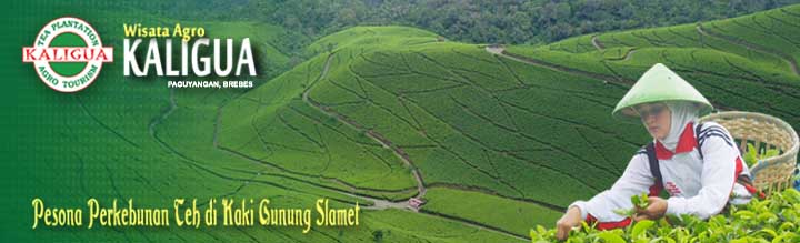 Wisata Agro Kaligua