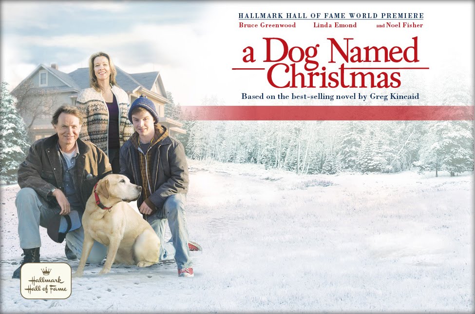 dowload free movie,sofware,drama tv.. 2010 Jan 20