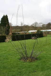 The first cut is the hardest.