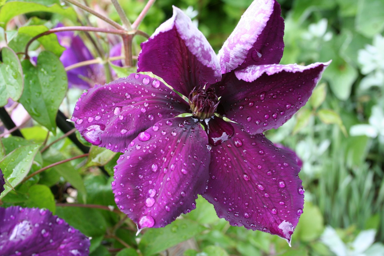 [20070531_999_67.JPG]