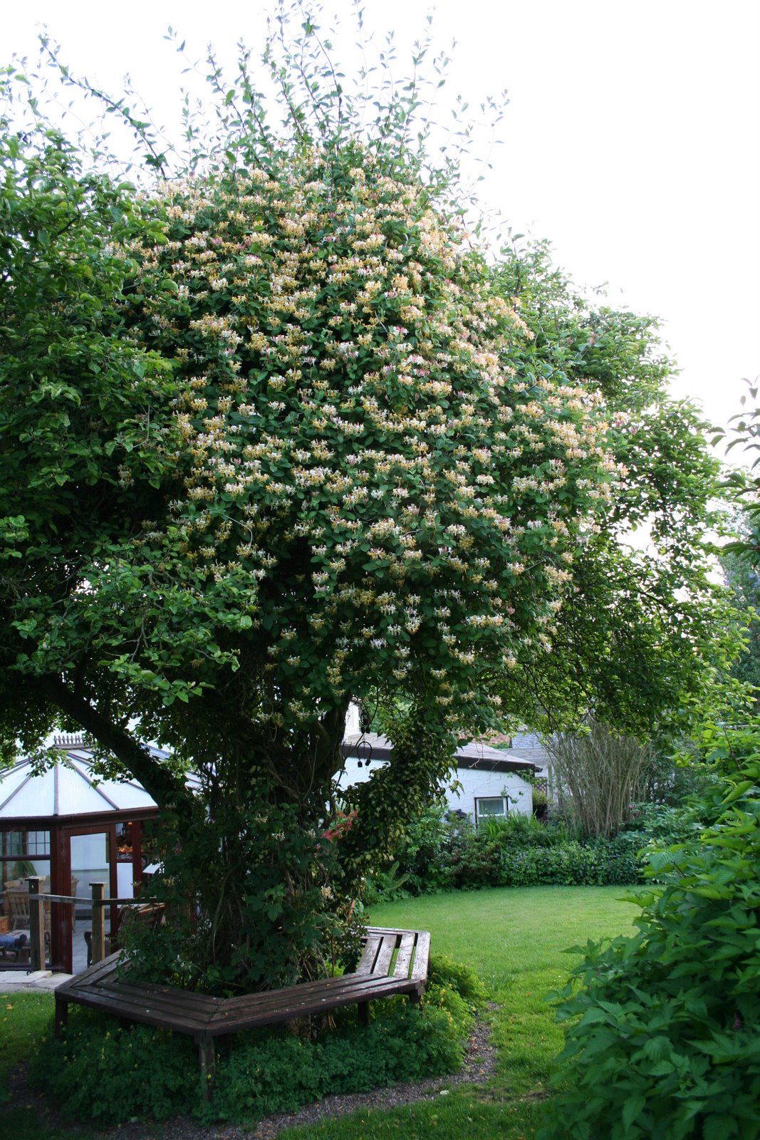 [20070604_999_2.JPG]