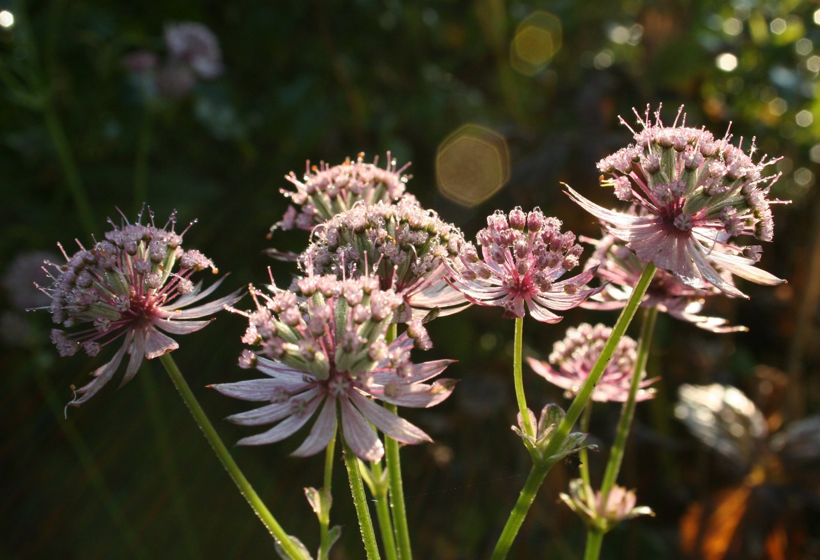 [20071020_999_2.JPG]