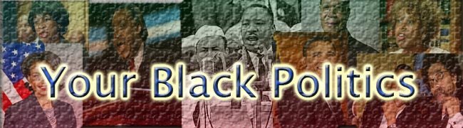 Your Black Politics