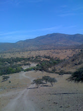 Estanque El Cienago