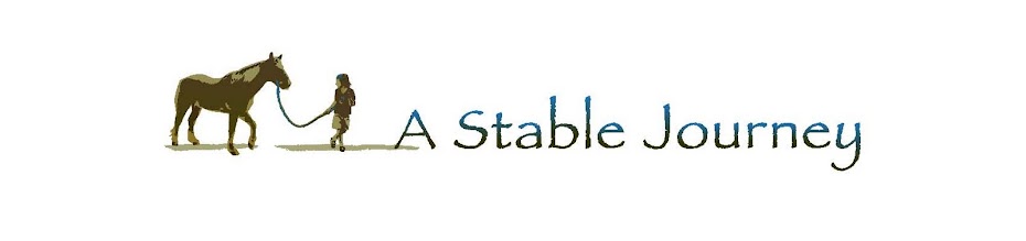 A Stable Journey