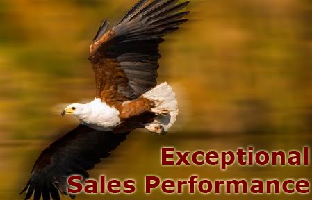 Exceptional Sales Performance