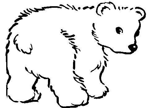 Dibujo para colorear del oso frontino - Imagui Dibujo para colorear del oso frontino - Imagui