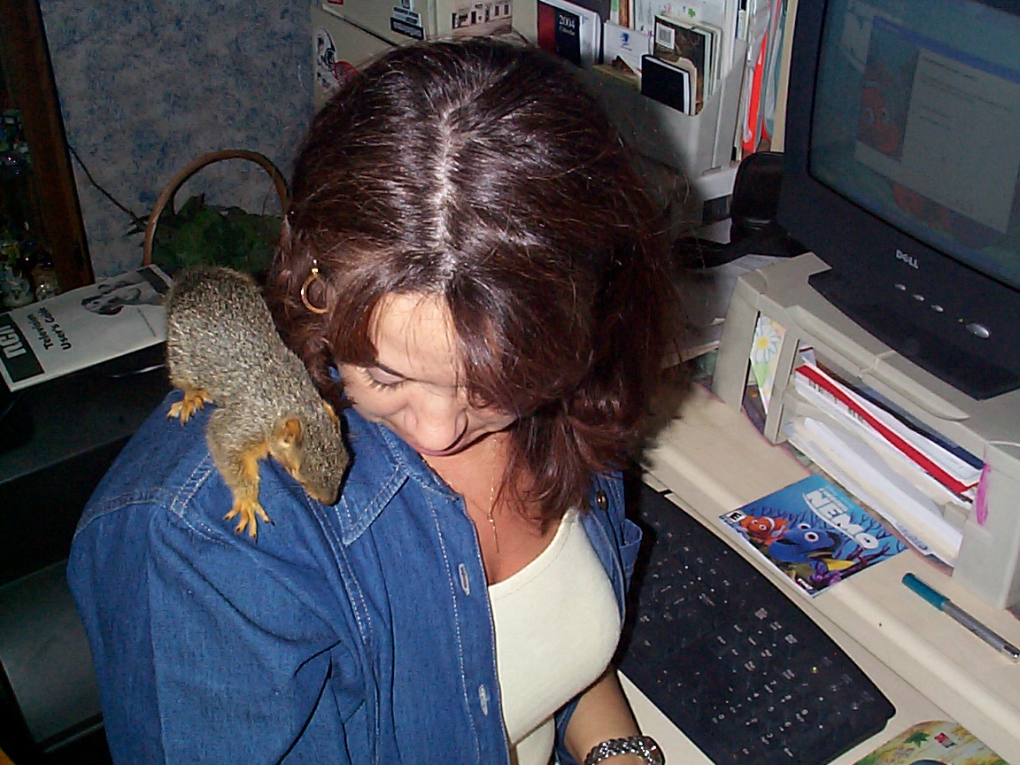 [shellysquirrel+002.jpg]