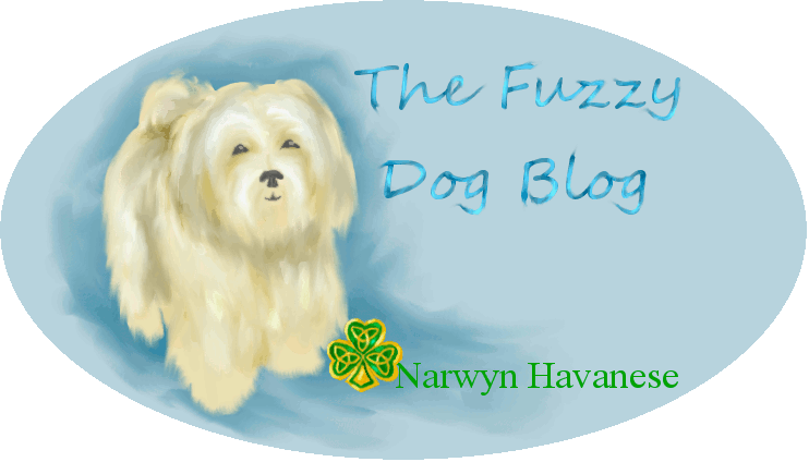 The Fuzzy Dog Blog