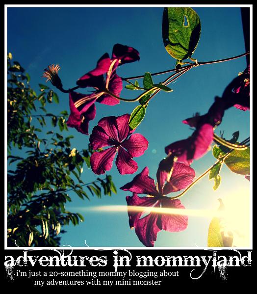 Adventures in Mommyland