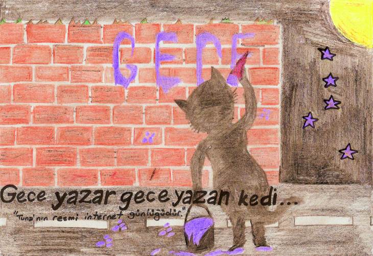 Gece Yazan Kedi