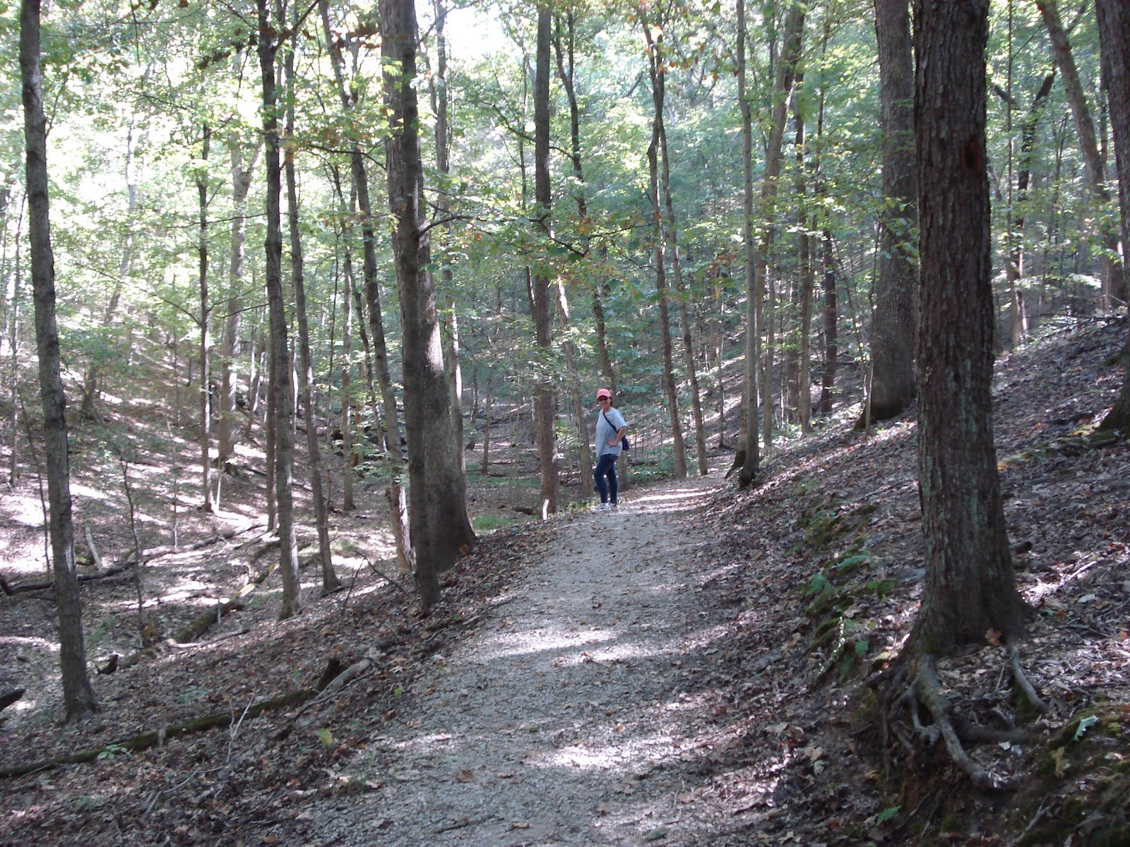 Hiking St. Louis Rockwoods Reservation