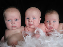 Four Months Old