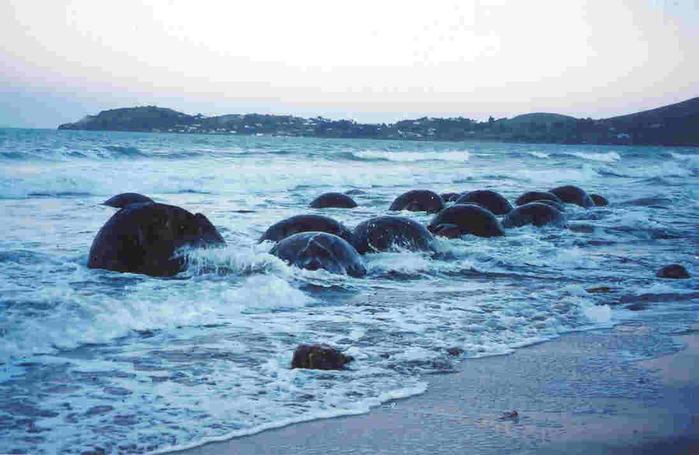 ВАЛУНЫ МОЕРАКИ,Новая Зеландия