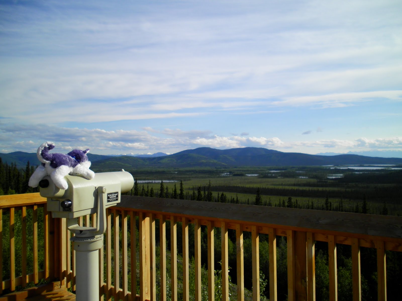 Tok to Alaska/Canada Border Ieri Oggi Domani