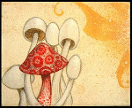 little_mushrooms