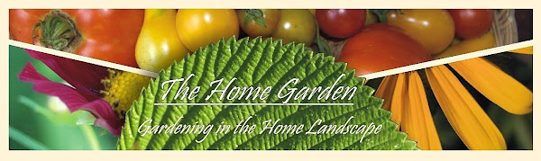 Garden Muses Not Another Toronto Gardening Blog In Love With My